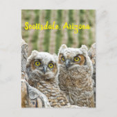 Wie is er daar? Paar van de Scottsdale van Owl, Ar Briefkaart (Voorkant)