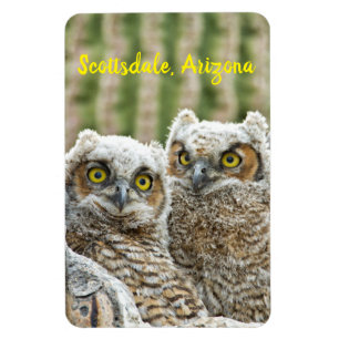 Wie is er daar? Paar van de Scottsdale van Owl, Ar Magneet