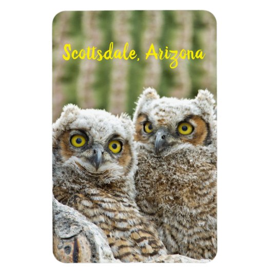 Wie is er daar? Paar van de Scottsdale van Owl, Ar Magneet (Verticaal)