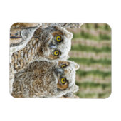 Wie is er, Pair of Owl's Magneet (Horizontaal)