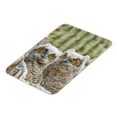 Wie is er, Pair of Owl's Magneet (Linkerzijde)