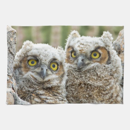 Wie is er, Pair of Owl's Theedoek (Horizontaal)
