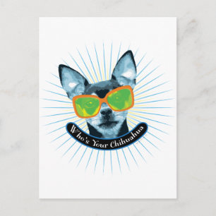 Wie is jouw Chihuahua? Briefkaart