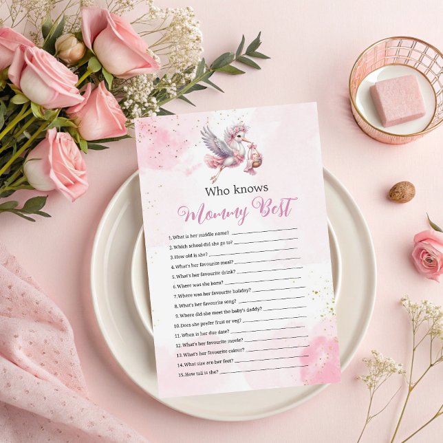 Wie kent mama beste roze ooievaar Baby shower spel (Creator heeft geüpload)