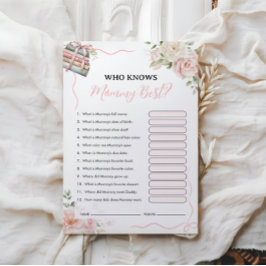 Wie kent mama het beste? | Baby shower spel