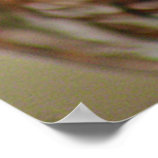 Wie kijkt naar beneden poster (Hoek)