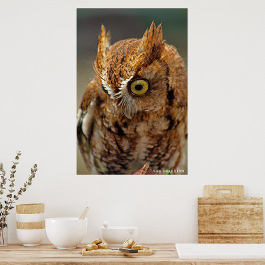 Wie kijkt naar beneden poster (Keuken)