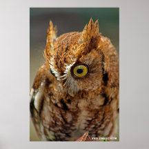 Wie kijkt naar beneden