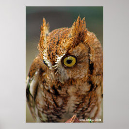 Wie kijkt naar beneden poster