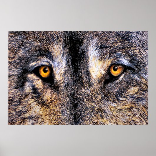 Wie kijkt poster (Voorkant)