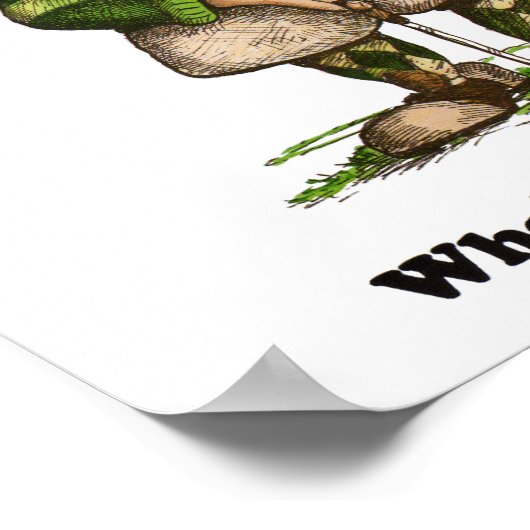 Wie koopt de bier poster (Hoek)