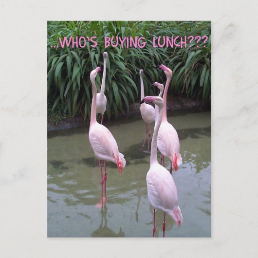 Wie koopt lunch? briefkaart (Voorkant)