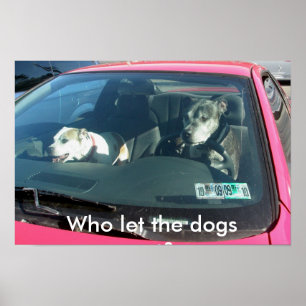 Wie laat de honden los? Poster