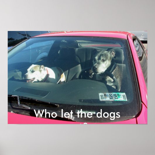 Wie laat de honden los? Poster (Voorkant)