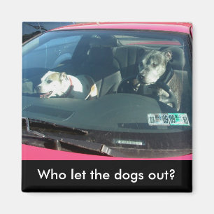 Wie liet de honden eruit? Magnet