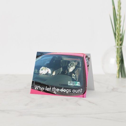 Wie liet de honden eruit? Opmerking Kaart (Voorkant)
