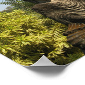 Wie maakt u zich zorgen? Nong Khai, Isaan, Thailan Poster (Hoek)