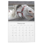 Wie maakt zich zorgen als het seizoensgebonden is? kalender (Feb 2026)