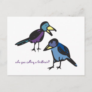 wie noem je een vogelbrein ? briefkaart