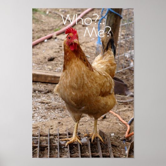 Wie noem je in kip? Poster (Voorkant)