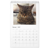 Wie P***ed van mijn kat? Jaarlijkse kalender 2018 (Feb 2027)
