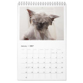 Wie P***ed van mijn kat? Jaarlijkse kalender 2018 (Jan 2027)
