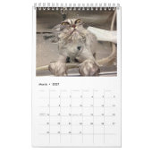Wie P***ed van mijn kat? Jaarlijkse kalender 2018 (Mar 2027)