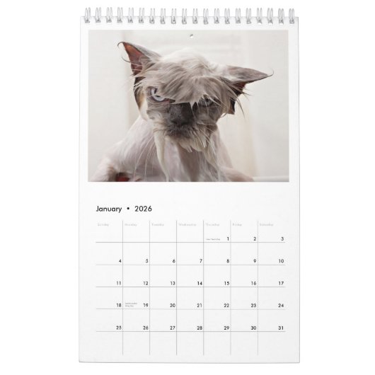 Wie P***ed van mijn kat? Jaarlijkse kalender 2018 (Jan 2026)