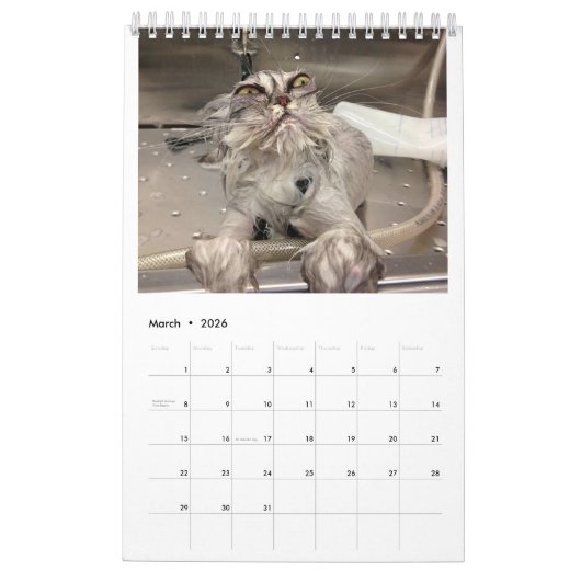 Wie P***ed van mijn kat? Jaarlijkse kalender 2018 (Mar 2026)