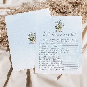 Wie weet mammie beste Winter blauw baby shower spe