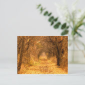 Wie weet waar het pad leidt? briefkaart (Staand voorkant)