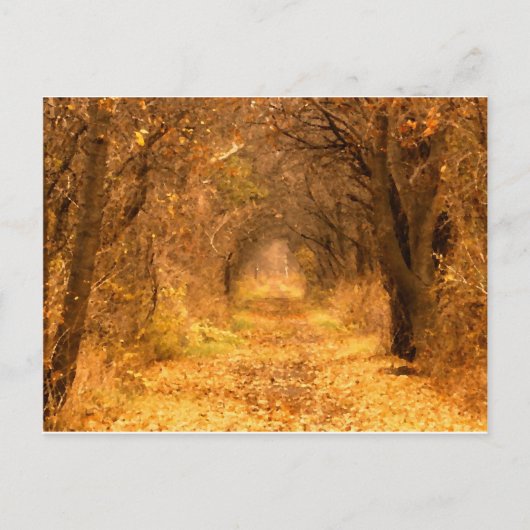 Wie weet waar het pad leidt? briefkaart (Voorkant)