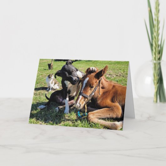 WIE WIL IK ZIEN VOOR "KERSTMIS" VAKANTIE KAART (Voorkant)