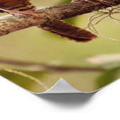 Wie wil zingen, vindt een zingende vogel poster (Hoek)