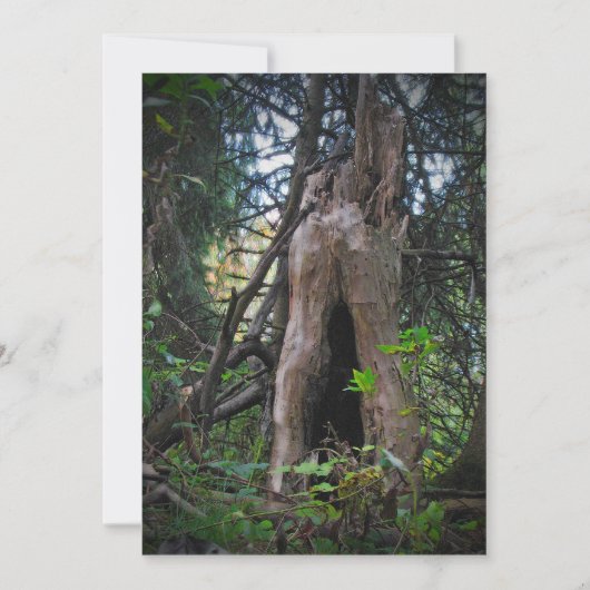 Wie woont daar? Halloween Invitation Kaart (Voorkant)