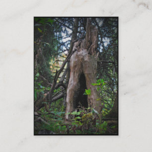 Wie woont hier? ATC Visitekaartje