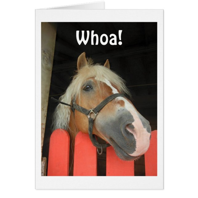 WIE ZEGT DE HOOGTE VOOR DE GROTE "50" (Voorkant)