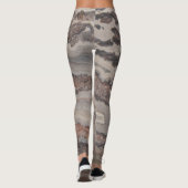 Wied Crazy Lace Agate Natural Rock ontworpen Leggings (Achterkant)