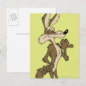 WIEL E. COYOTE™-weergaveplatform Briefkaart (Voorkant / Achterkant)