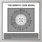 Wiel van de genetische code poster (Voorkant)