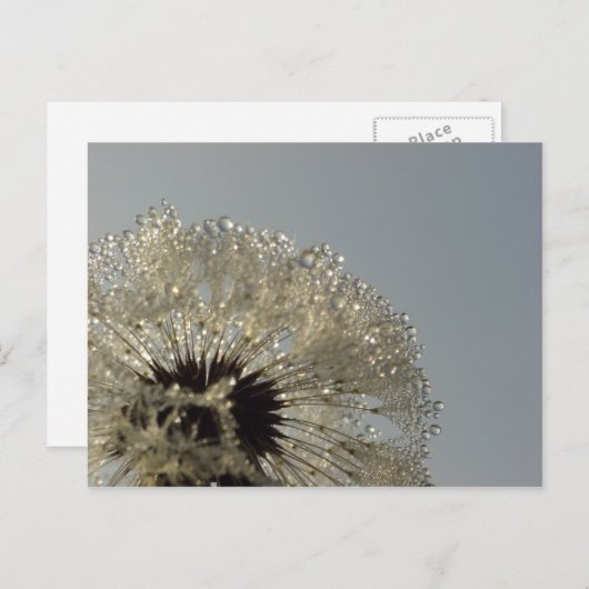 Wiel van druppeltjes briefkaart (Voorkant / Achterkant)