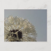 Wiel van druppeltjes briefkaart (Voorkant)