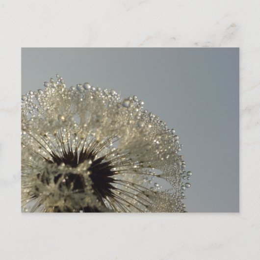 Wiel van druppeltjes briefkaart (Voorkant)