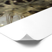 Wiel van druppeltjes - Dandelion met druppeltjes Poster (Hoek)