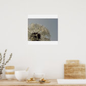 Wiel van druppeltjes - Dandelion met druppeltjes Poster (Keuken)