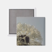 Wiel van druppeltjes magneet (Voorkant / Achterkant)