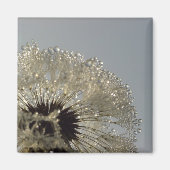 Wiel van druppeltjes magneet (Voorkant)