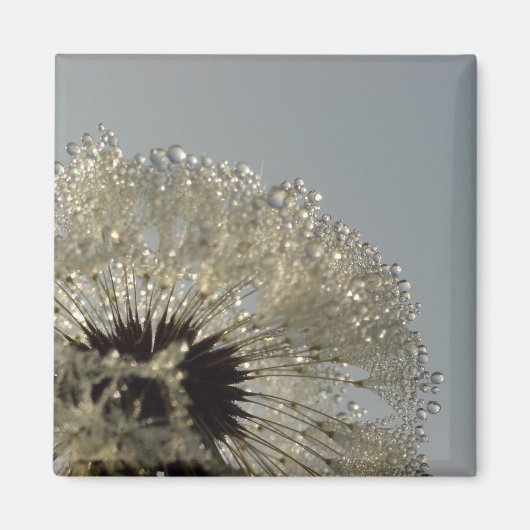 Wiel van druppeltjes magneet (Voorkant)