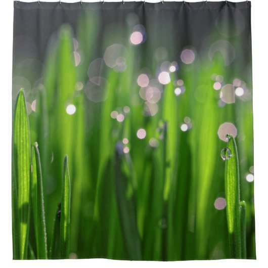 Wielbaars in het morinielicht douchegordijn (Voorkant)