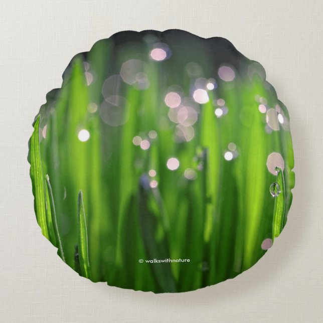 Wielbaars in het morinielicht rond kussen (Voorkant)